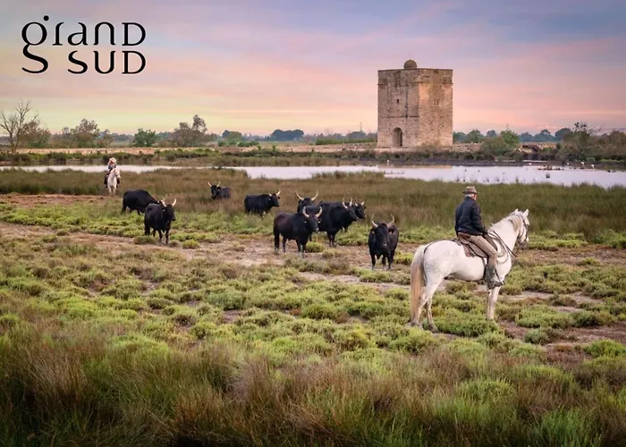 L\'Oree De Camargue Studio Avec Cour