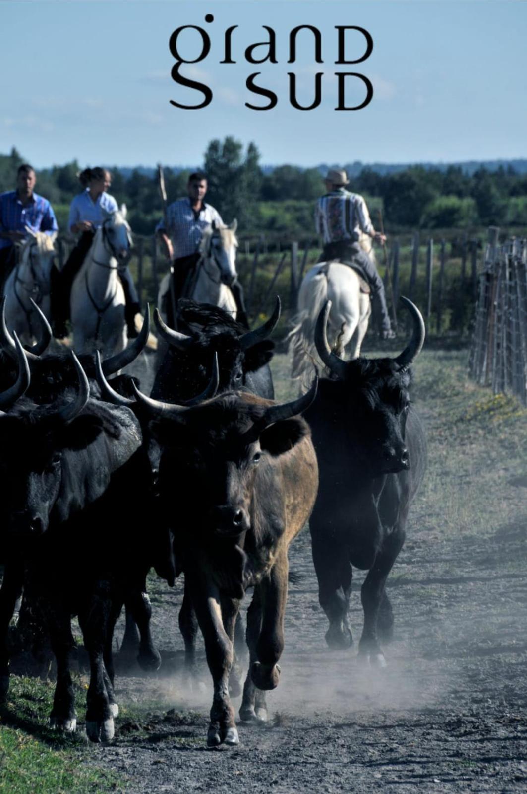 L'oree De Camargue Avec Cour Apartment *