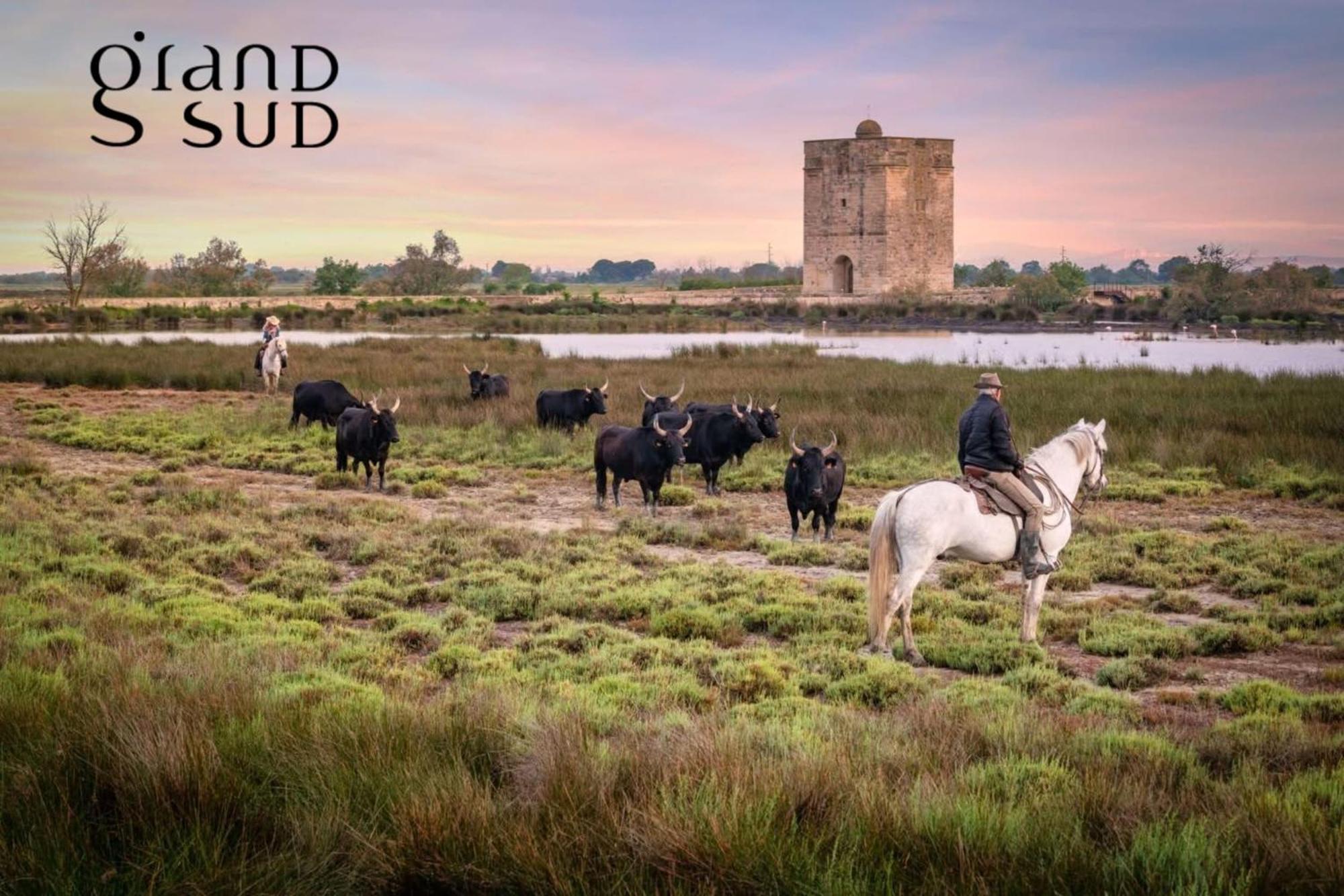 L'oree De Camargue Avec Cour * Le Grau-du-Roi