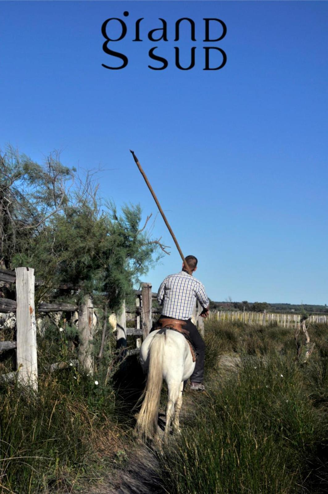 L'oree De Camargue Avec Cour * Le Grau-du-Roi